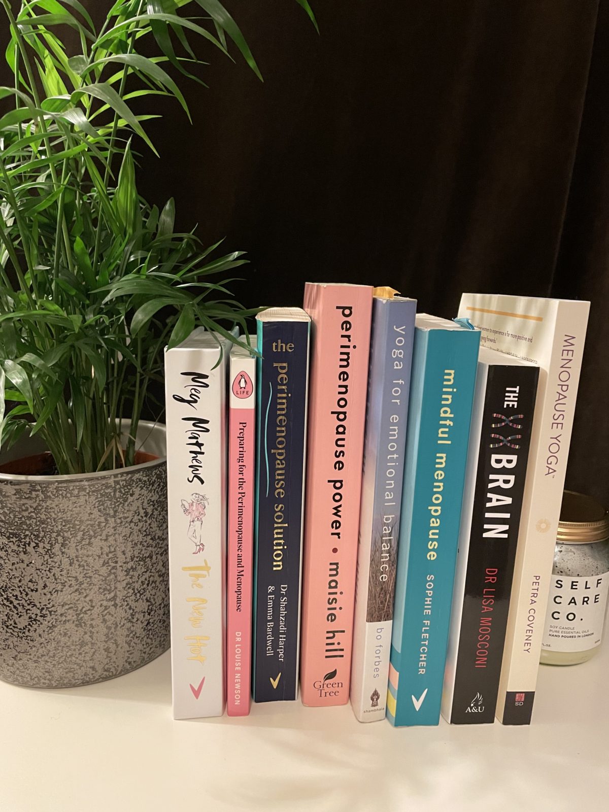 10 Best Resources to Support Your Perimenopause and Menopause